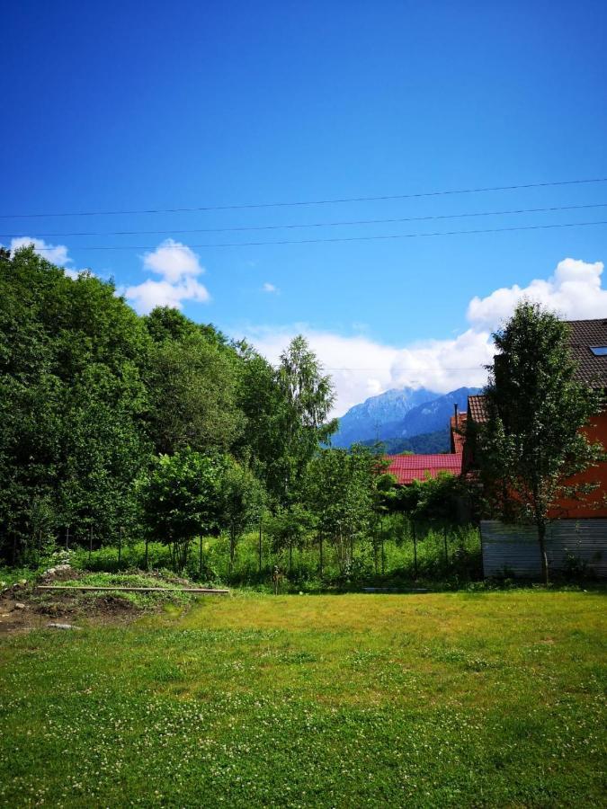 Cedar Crest Rasnov Exterior foto